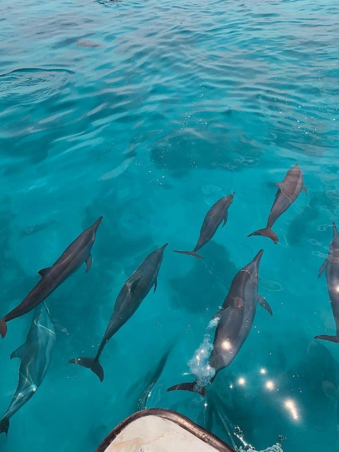 Ocean Waves Inn Gaafaru Zewnętrze zdjęcie